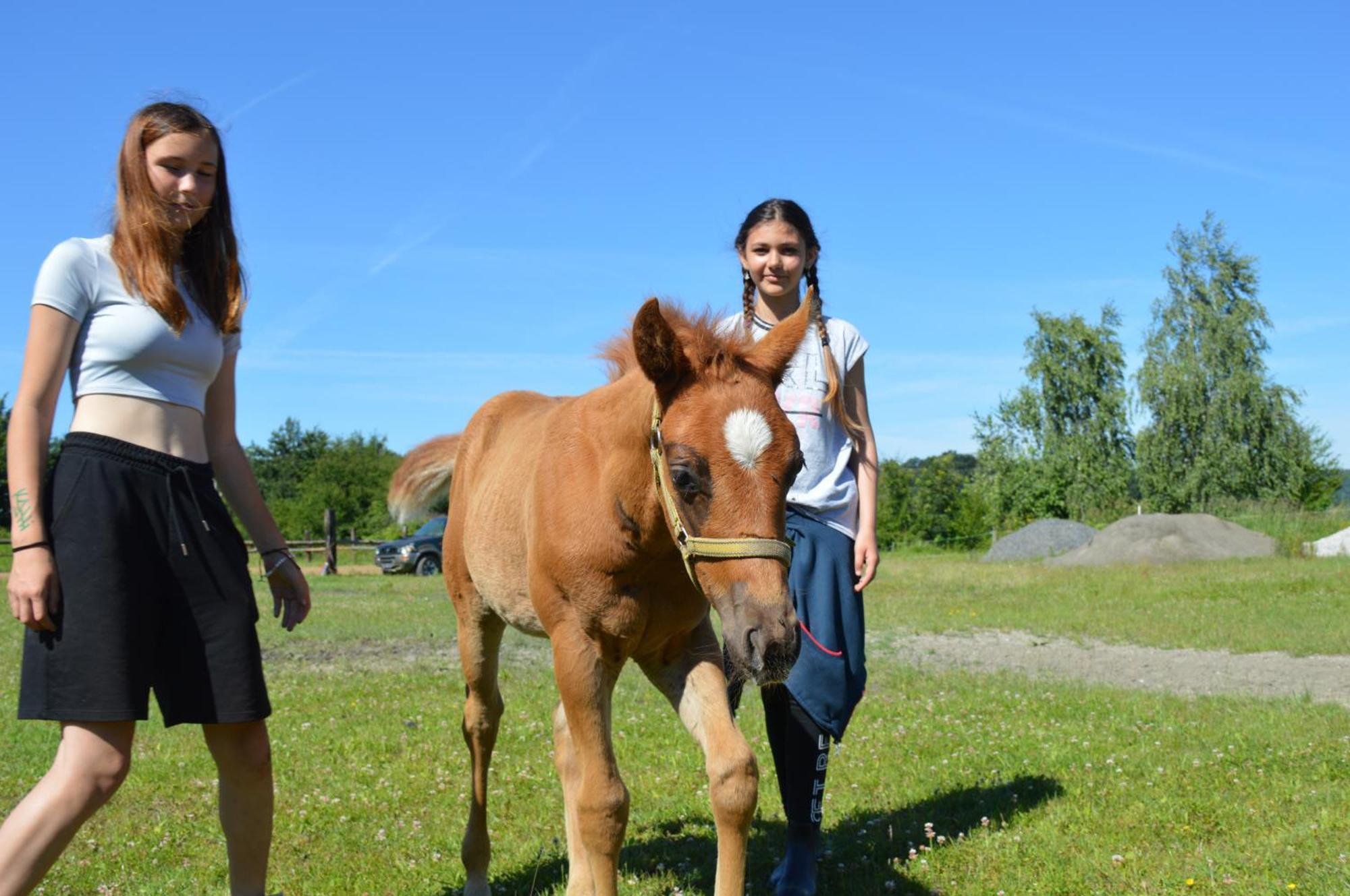 Bubla City Ranch Koprivnice Bagian luar foto